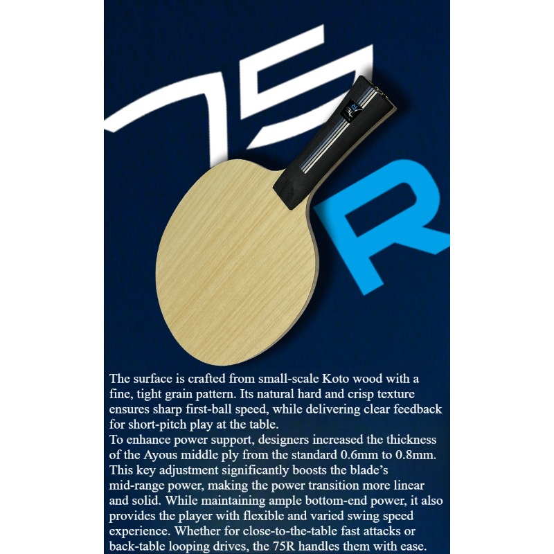 SANWEI 75R 5+2 Outer H-GLC Tab - огляд і ціна Table Tennis Usa